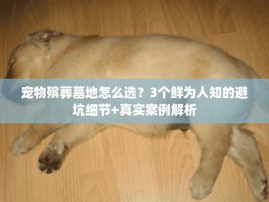宠物殡葬墓地怎么选？3个鲜为人知的避坑细节+真实案例解析