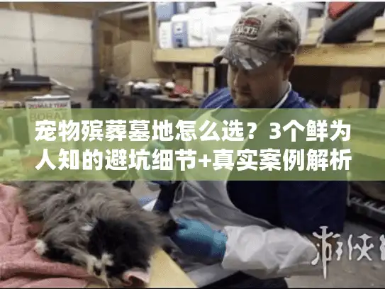宠物殡葬墓地怎么选？3个鲜为人知的避坑细节+真实案例解析