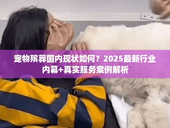 宠物殡葬国内现状如何？2025最新行业内幕+真实服务案例解析