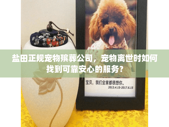 盐田正规宠物殡葬公司，宠物离世时如何找到可靠安心的服务？