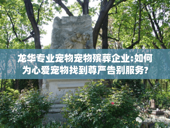 龙华专业宠物宠物殡葬企业:如何为心爱宠物找到尊严告别服务?