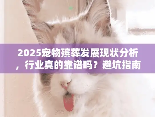 2025宠物殡葬发展现状分析，行业真的靠谱吗？避坑指南+趋势预判全揭秘！