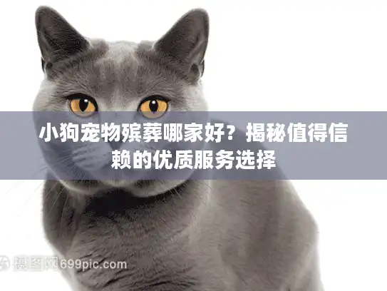 小狗宠物殡葬哪家好？揭秘值得信赖的优质服务选择