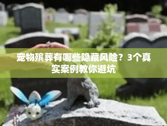 宠物殡葬有哪些隐藏风险？3个真实案例教你避坑