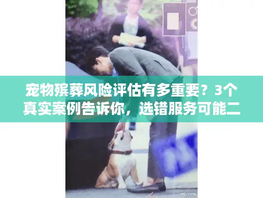 宠物殡葬风险评估有多重要？3个真实案例告诉你，选错服务可能二次伤心！