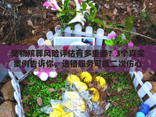 宠物殡葬风险评估有多重要？3个真实案例告诉你，选错服务可能二次伤心！