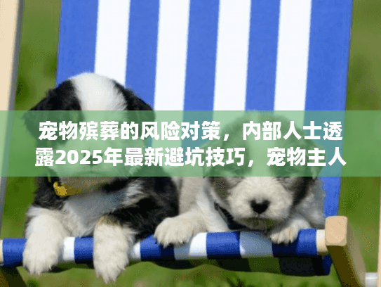 宠物殡葬的风险对策，内部人士透露2025年最新避坑技巧，宠物主人赶紧收藏！