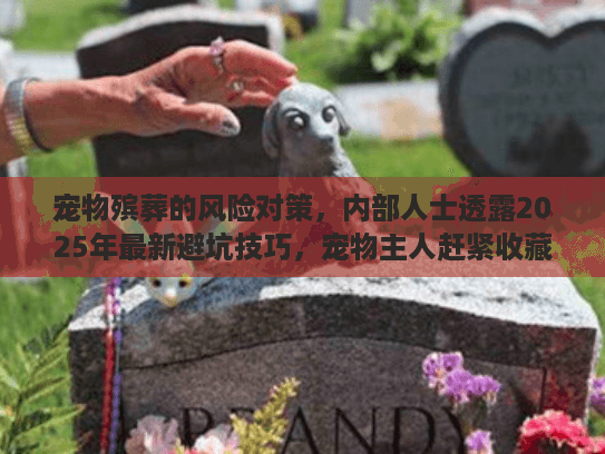宠物殡葬的风险对策，内部人士透露2025年最新避坑技巧，宠物主人赶紧收藏！