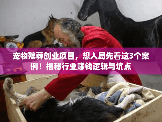 宠物殡葬创业项目，想入局先看这3个案例！揭秘行业赚钱逻辑与坑点