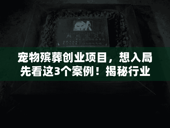 宠物殡葬创业项目，想入局先看这3个案例！揭秘行业赚钱逻辑与坑点