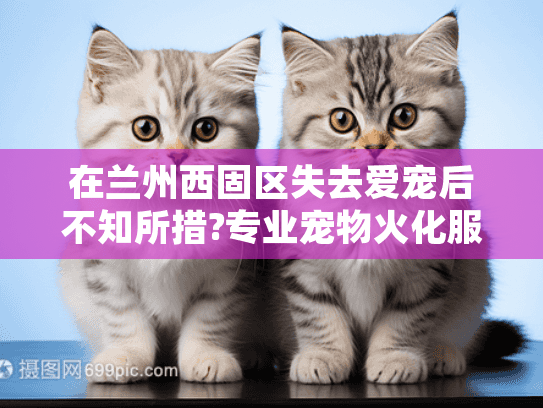 在兰州西固区失去爱宠后不知所措?专业宠物火化服务西固区全面指南 在兰州西固区失去爱宠后不知所措?专业宠物火化服务西固区全面指南