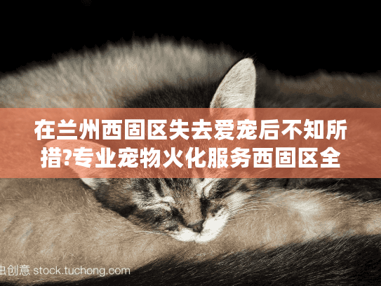 在兰州西固区失去爱宠后不知所措?专业宠物火化服务西固区全面指南 在兰州西固区失去爱宠后不知所措?专业宠物火化服务西固区全面指南