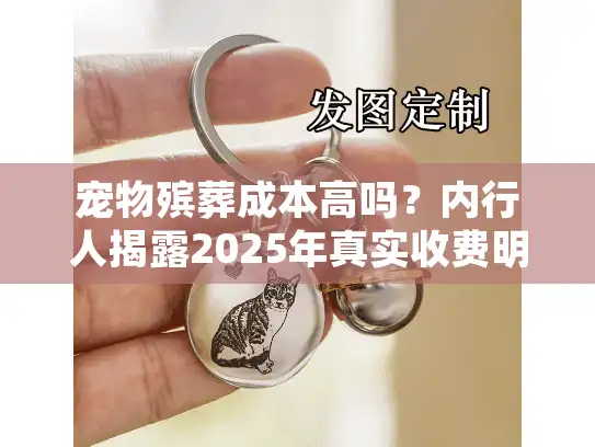 宠物殡葬成本高吗？内行人揭露2025年真实收费明细与省钱技巧