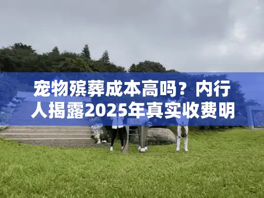 宠物殡葬成本高吗？内行人揭露2025年真实收费明细与省钱技巧