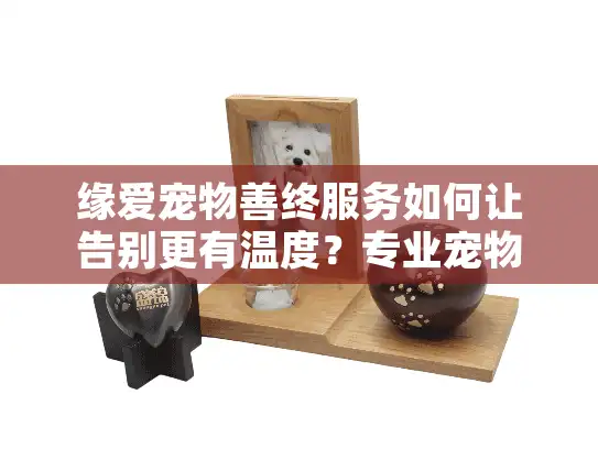 缘爱宠物善终服务如何让告别更有温度？专业宠物殡葬指南