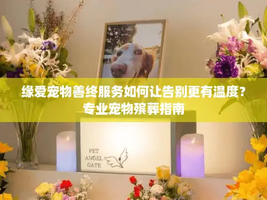 缘爱宠物善终服务如何让告别更有温度？专业宠物殡葬指南