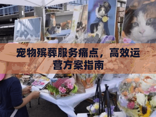 宠物殡葬服务痛点,高效运营方案指南 宠物殡葬服务痛点,高效运营方案指南