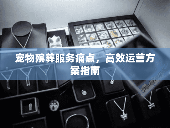 宠物殡葬服务痛点,高效运营方案指南 宠物殡葬服务痛点,高效运营方案指南