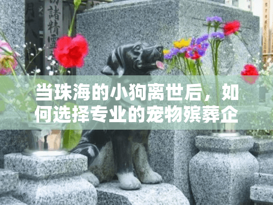 当珠海的小狗离世后，如何选择专业的宠物殡葬企业服务?