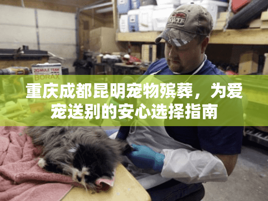 重庆成都昆明宠物殡葬，为爱宠送别的安心选择指南