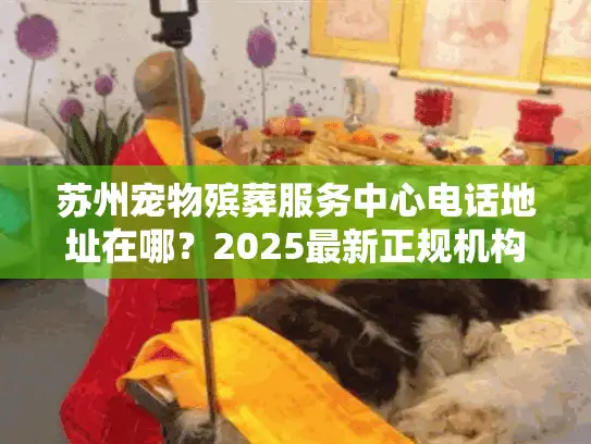 苏州宠物殡葬服务中心电话地址在哪？2025最新正规机构+告别全攻略