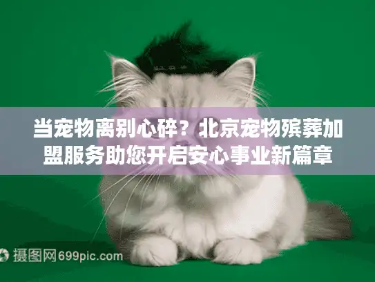 当宠物离别心碎?北京宠物殡葬加盟服务助您开启安心事业新篇章 当宠物离别心碎?北京宠物殡葬加盟服务助您开启安心事业新篇章
