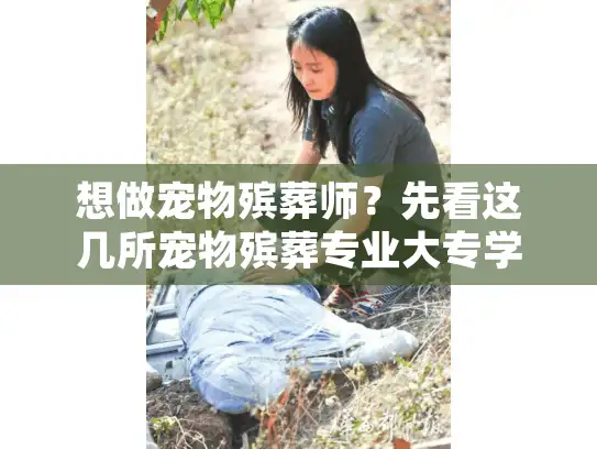 想做宠物殡葬师?先看这几所宠物殡葬专业大专学校靠谱吗? 想做宠物殡葬师?先看这几所宠物殡葬专业大专学校靠谱吗?