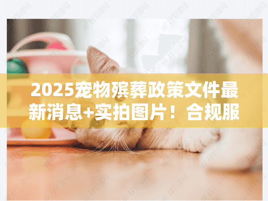 2025宠物殡葬政策文件最新消息+实拍图片！合规服务怎么选不踩坑？