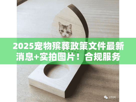 2025宠物殡葬政策文件最新消息+实拍图片！合规服务怎么选不踩坑？