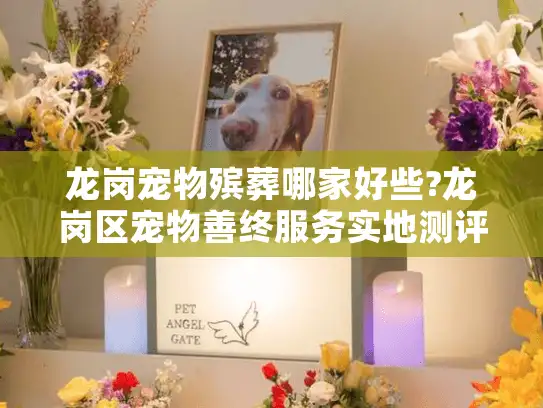 龙岗宠物殡葬哪家好些?龙岗区宠物善终服务实地测评指南