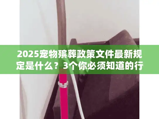 2025宠物殡葬政策文件最新规定是什么？3个你必须知道的行业新变化！