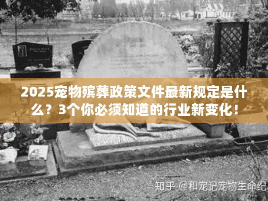 2025宠物殡葬政策文件最新规定是什么？3个你必须知道的行业新变化！