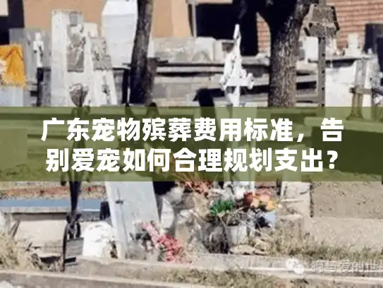广东宠物殡葬费用标准,告别爱宠如何合理规划支出? 广东宠物殡葬费用标准,告别爱宠如何合理规划支出?