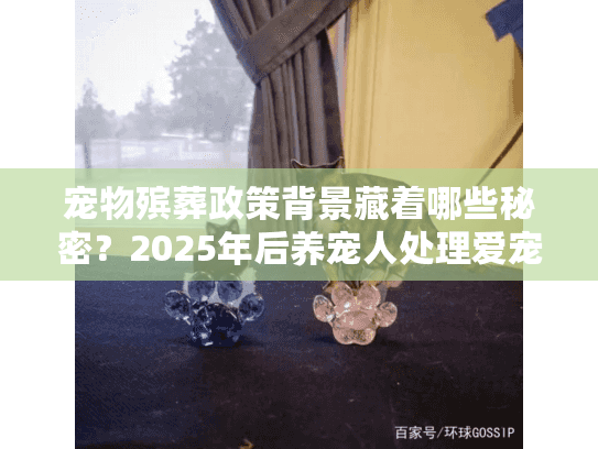 宠物殡葬政策背景藏着哪些秘密？2025年后养宠人处理爱宠后事必看！
