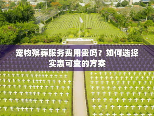 宠物殡葬服务费用贵吗？如何选择实惠可靠的方案