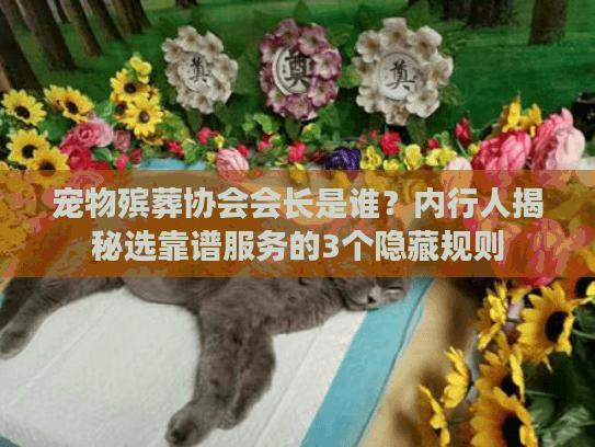 宠物殡葬协会会长是谁？内行人揭秘选靠谱服务的3个隐藏规则