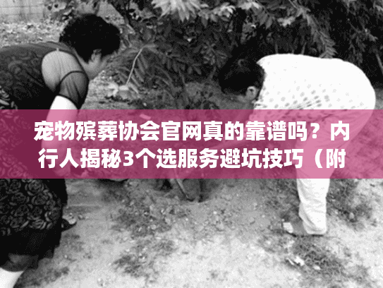 宠物殡葬协会官网真的靠谱吗?内行人揭秘3个选服务避坑技巧(附真实案例) 宠物殡葬协会官网真的靠谱吗?内行人揭秘3个选服务避坑技巧(附真实案例)