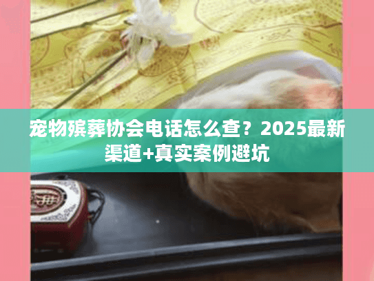 宠物殡葬协会电话怎么查？2025最新渠道+真实案例避坑