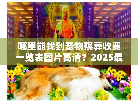 哪里能找到宠物殡葬收费一览表图片高清?2025最新价目+避坑技巧全公开 哪里能找到宠物殡葬收费一览表图片高清?2025最新价目+避坑技巧全公开