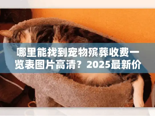 哪里能找到宠物殡葬收费一览表图片高清?2025最新价目+避坑技巧全公开 哪里能找到宠物殡葬收费一览表图片高清?2025最新价目+避坑技巧全公开