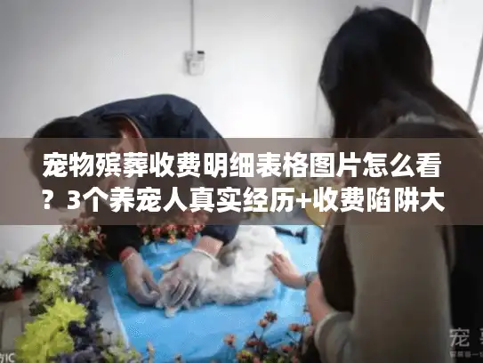 宠物殡葬收费明细表格图片怎么看？3个养宠人真实经历+收费陷阱大曝光