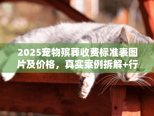 2025宠物殡葬收费标准表图片及价格，真实案例拆解+行业内幕揭秘！