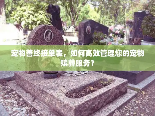 宠物善终接单表，如何高效管理您的宠物殡葬服务？