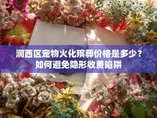 涧西区宠物火化殡葬价格是多少？如何避免隐形收费陷阱