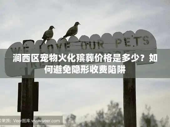 涧西区宠物火化殡葬价格是多少？如何避免隐形收费陷阱