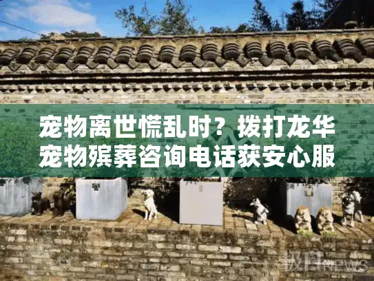 宠物离世慌乱时？拨打龙华宠物殡葬咨询电话获安心服务