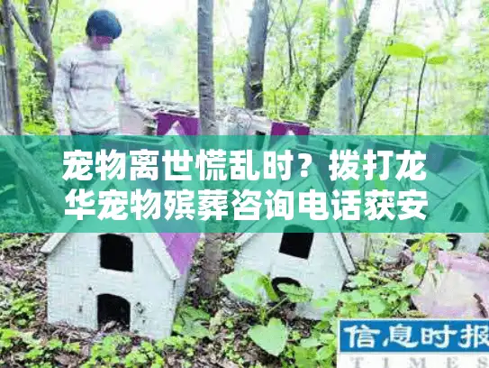 宠物离世慌乱时？拨打龙华宠物殡葬咨询电话获安心服务