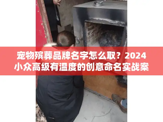 宠物殡葬品牌名字怎么取？2024小众高级有温度的创意命名实战案例！