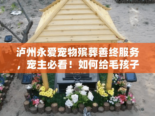 泸州永爱宠物殡葬善终服务，宠主必看！如何给毛孩子一场不留遗憾的告别？