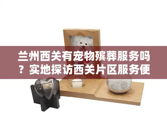 兰州西关有宠物殡葬服务吗？实地探访西关片区服务便利度全解析